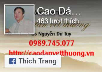 Facebook Cao dán vết thương